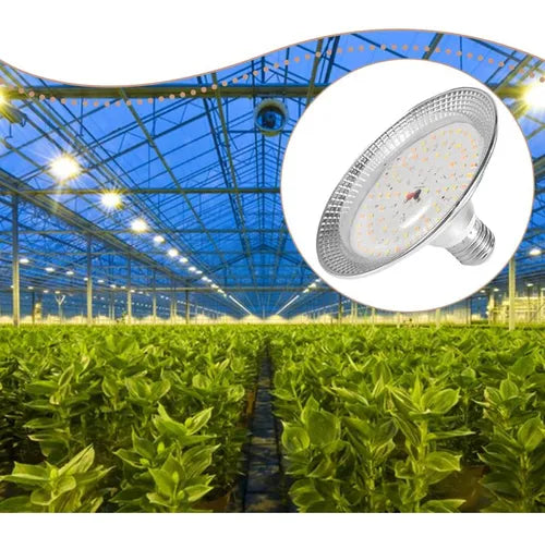 Lâmpada LED para cultivo indoor iluminçao