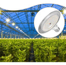 Lâmpada LED para cultivo indoor iluminçao