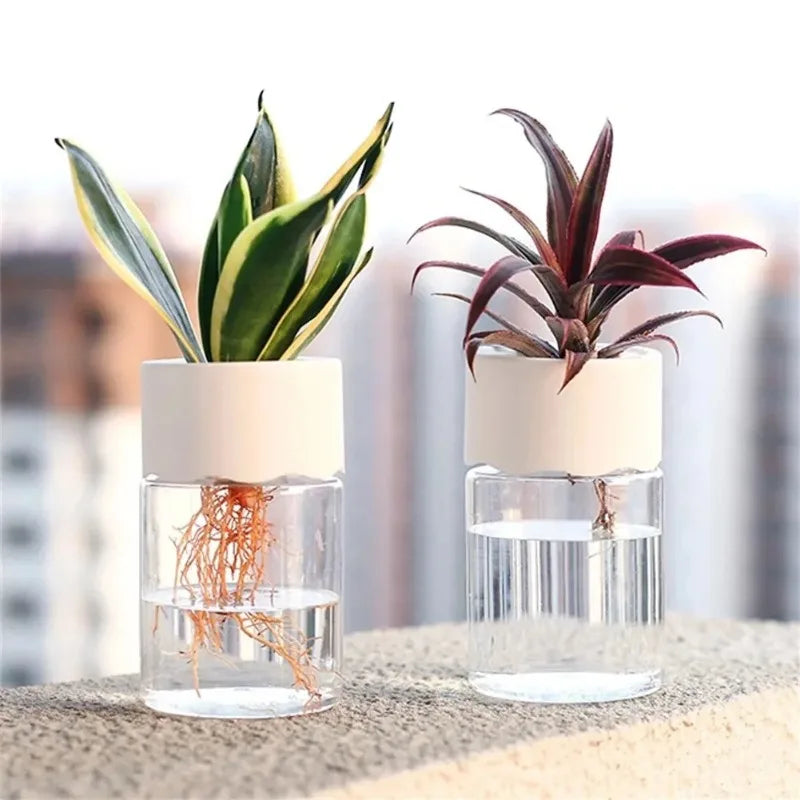 Vaso Autoirrigável Moderno para Plantas e Flores – Design Elegante