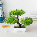 Kit de Bonsai Artificial Decorativo para Ambientes